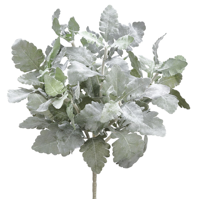 16.5" Dusty Miller Silk Plant -Frosted Green (pack of 12) - PBD165-GR/FK