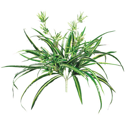 21" Spider Silk Plant -50 Leaves -Green/White (pack of 12) - PBF295-GR/WH