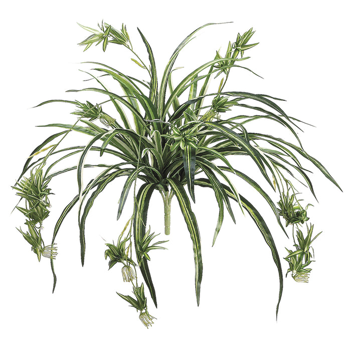 34" Spider Silk Plant -80 Leaves -Green/White (pack of 12) - PBF298-GR/WH