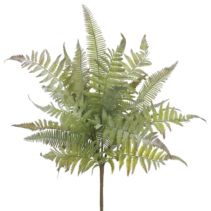 18" Plastic Mixed Fern Silk Plant -Green/Gray (pack of 12) - PBF726-GR/GY