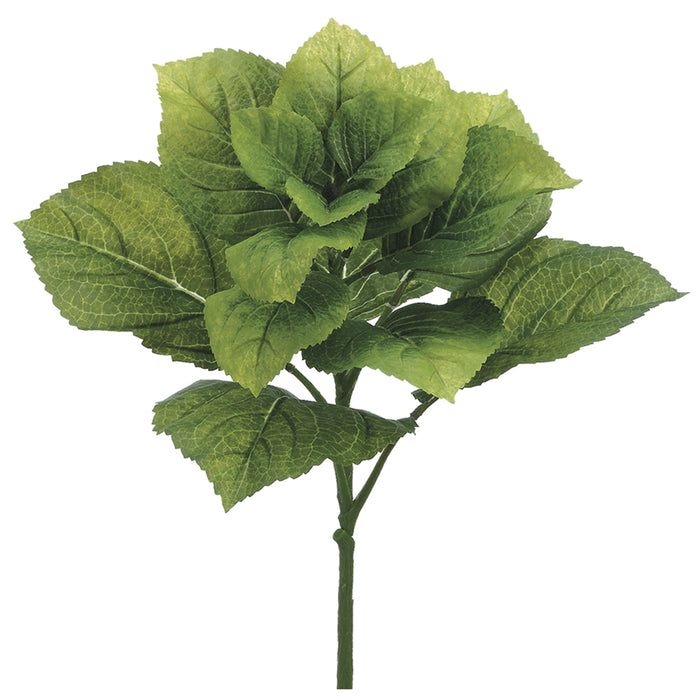 19.5" Hydrangea Leaf Silk Plant -Green (pack of 12) - PBH140-GR