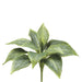 8" Hosta Silk Plant -Green (pack of 12) - PBH308-GR