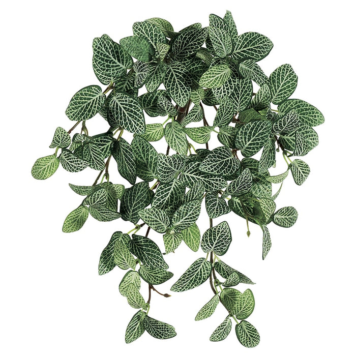 13" Mini Fittonia Silk Hanging Plant -120 Leaves -Green/White (pack of 12) - PBH662-GR/WH
