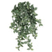 20" Mini Fittonia Silk Hanging Plant -267 Leaves -Green/White (pack of 6) - PBH663-GR/WH