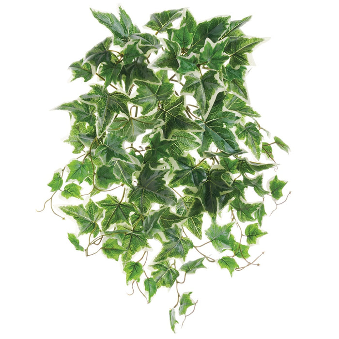 19" UV-Resistant Outdoor Artificial Ivy Hanging Plant -Green/Cream (pack of 12) - PBO031-GR/CR