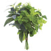 10" Herb Garden Plant Silk Bouquet -Green/Gray (pack of 6) - PBQ119-GR/GY