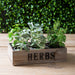 11" Rosemary Herb Silk Plant -Green (pack of 24) - PBR414-GR