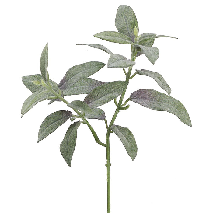 11" Sage Herb Silk Plant -Green (pack of 24) - PBS415-GR