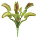 9" Venus Flytrap Artificial Plant -Green/Purple (pack of 24) - PBV015-GR/PU