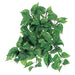 12" Medium Pothos Silk Hanging Plant -106 Leaves -2 Tone Green (pack of 24) - PBW301-GR/TT