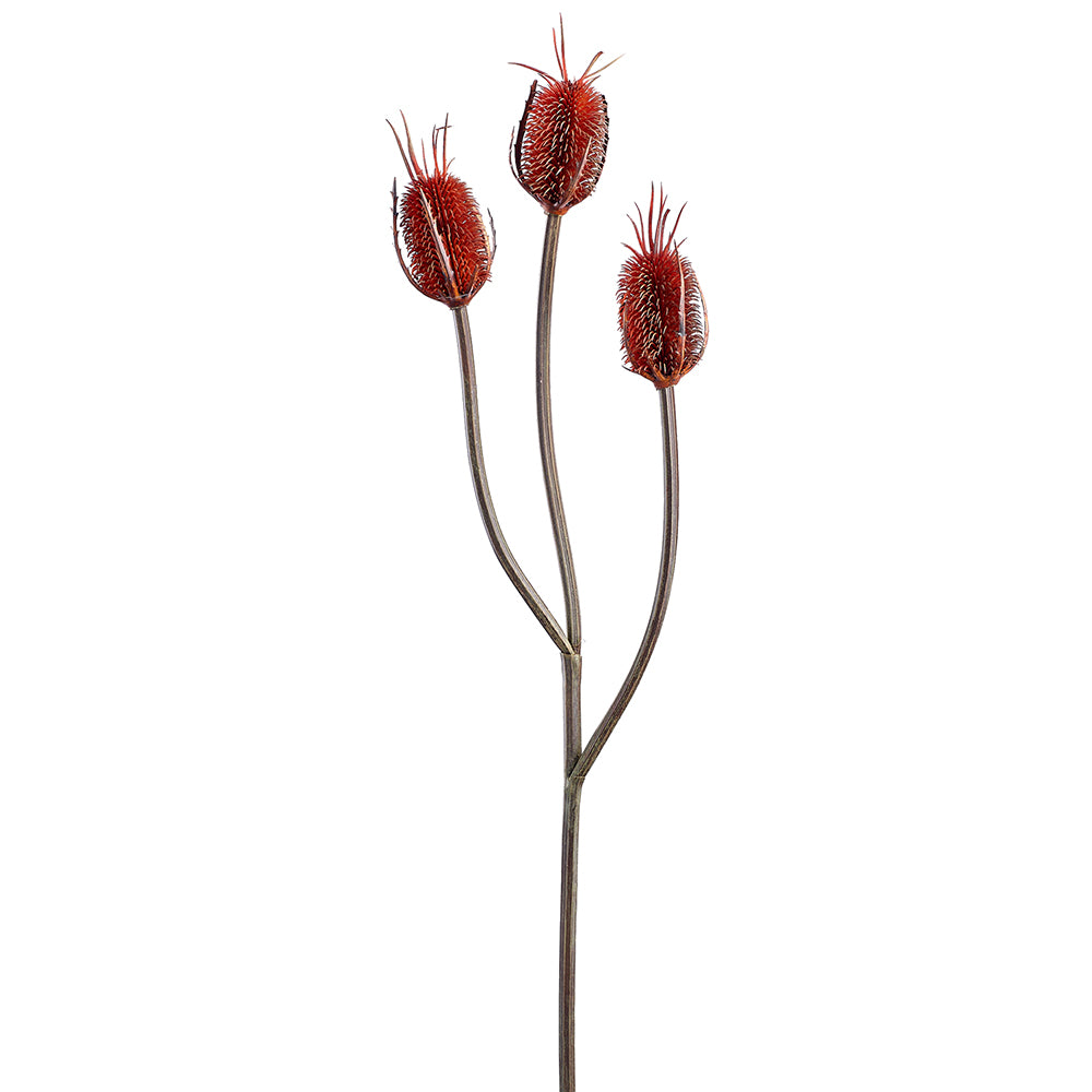 35" Artificial Banksia Protea Flower Stem -Brown (pack of 12) - PSB337-BR