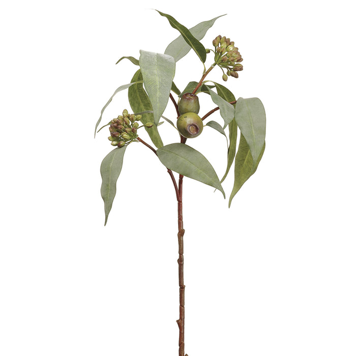 25" Seeded Eucalyptus Silk Stem -Green (pack of 12) - PSE027-GR