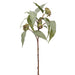 25" Seeded Eucalyptus Silk Stem -Green (pack of 12) - PSE027-GR