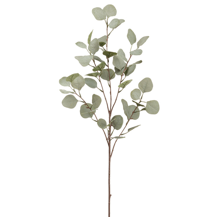 36.5" Eucalyptus Silk Stem -Green (pack of 12) - PSE191-GR/GY
