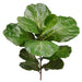 30" Silk Fiddle Leaf Fig Branch Stem -Green (pack of 6) - PSF330-GR