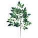 23" Silk Nitida Ficus Stem -Green (pack of 12) - PSF715-