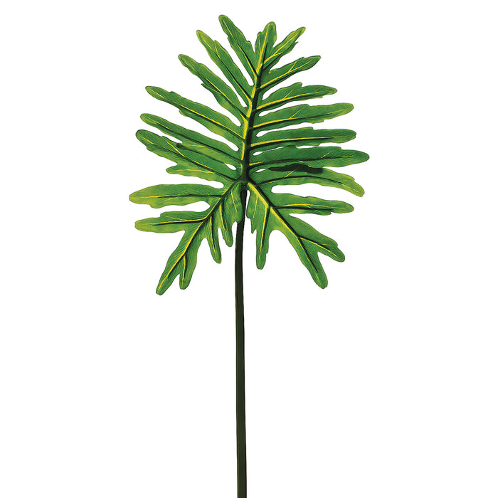 36" Silk Selloum Leaf Stem -Green (pack of 12) - PSS294-GR