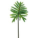 36" Silk Selloum Leaf Stem -Green (pack of 12) - PSS294-GR