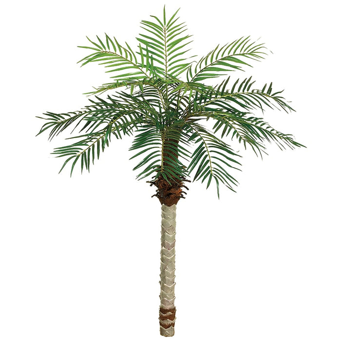 5'6" Phoenix Date Silk Palm Tree (pack of 2) - PTD115-