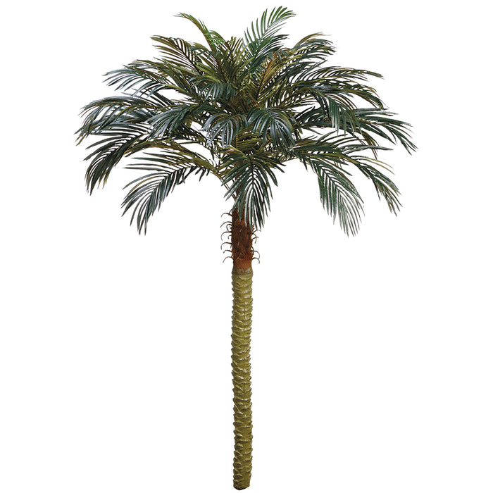 7' Phoenix Silk Palm Tree (pack of 2) - PTP607-