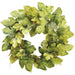 32" Silk Fig & Fern Hanging Wreath -Green (pack of 2) - PWX332-GR