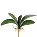 13" Silk Phalaenopsis Orchid Leaf Plant Stem -Green (pack of 12) - QSL719-GR