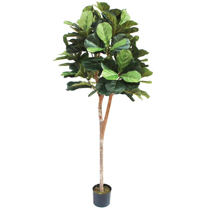 6' Fiddle Leaf Fig Ball-Shaped Topiary Silk Tree w/Pot -Green - SAFB165TJA6