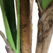 6'6" Banana Silk Palm Tree w/Pot -Green - SAFDYL27