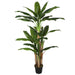 6'6" Banana Silk Palm Tree w/Pot -Green - SAFDYL27