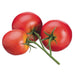 5" Artificial Tomato On The Vine -Red (pack of 24) - VAA807-RE