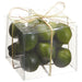 4"Hx4"Wx4"L Artificial Boxed Assorted Lime -2 Tone Green (pack of 12) - VAP732-GR/TT