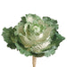 11.5" Artificial Ornamental Cabbage Pick -Cream/Green (pack of 12) - VKC080-CR/GR