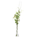 60"Hx20"W Rose & Thorn Vine Silk Flower Arrangement -White/Green - WF1764-WH/GR