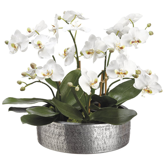 16"Hx19"W Phalaenopsis Orchid Silk Flower Arrangement -White - WF1863-WH