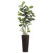 6'3" EVA Seagrape Leaf Silk Tree w/Basket - WP7749-GR