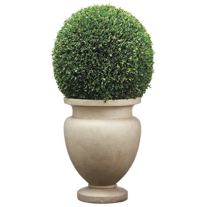 45"Hx23"W Preserved Boxwood Ball-Shaped Topiary Plant w/Cement Planter -Green - WP8023-GR