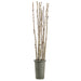 8' Birch Pole Artificial Tree w/Fiber Cement Container -Ivory - WT4808-