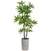 6' EVA Pachira Aquatica Silk Tree w/Fiber Cement Planter -Green - WT4932-GR