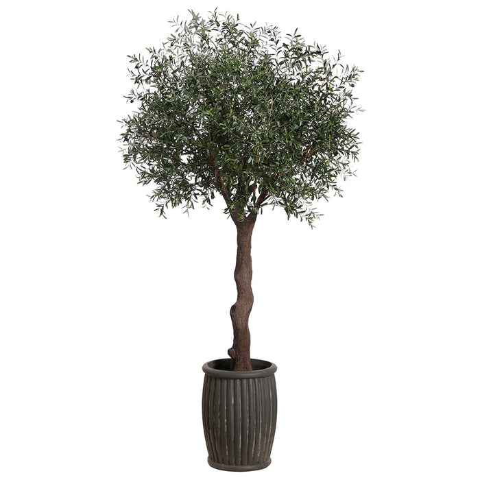 10' Olive Silk Tree w/Fiber Cement Planter -Green - WT4950-GR