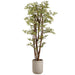 6'5" Mini Japanese Maple Silk Tree w/Fiber Cement Planter -Green - WT4967-GR
