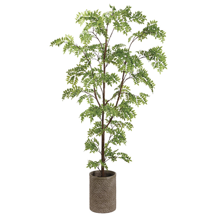 8' Wisteria Silk Tree w/Fiber Cement Planter -Green - WT4992-GR