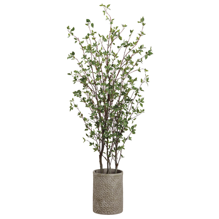7' Cornus Silk Tree w/Fiber Clay Planter -Green - WT4994-GR