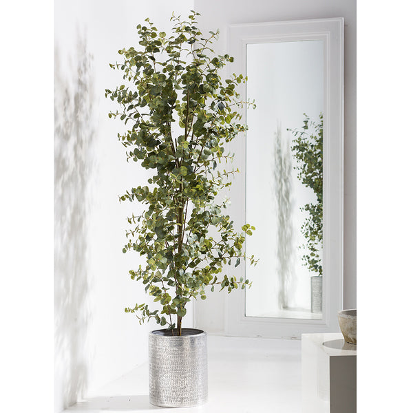 6'6" Eucalyptus Silk Tree w/Aluminum Planter -Green - WT5005-GR