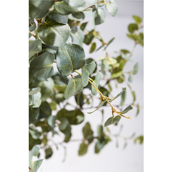 6'6" Eucalyptus Silk Tree w/Aluminum Planter -Green - WT5005-GR