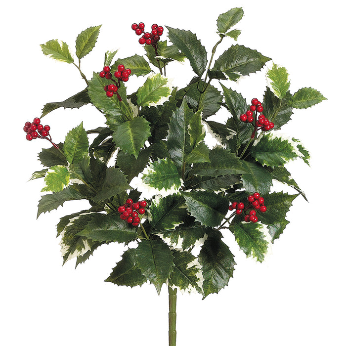 20" Artificial English Holly w/Berries Plant -Variegated Green (pack of 12) - XHT344-VG
