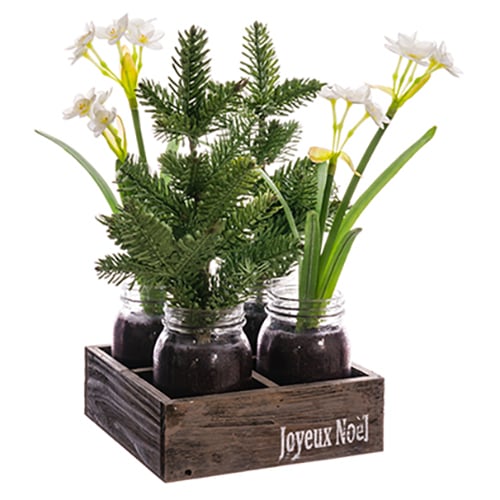 15" Set Of Daffodil & Pine Tree In Wood Box Silk Arrangement -White/Green (pack of 2) - XLF818-WH/GR