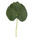 9" Galax Leaf Silk Stem -Green (pack of 576) - ZKG805-GR