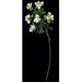 45" UV-Proof Outdoor Artificial Bougainvillea Flower Spray -White (pack of 6) - A14414-0WH