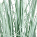 35" IFR PVC Onion Grass Artificial Plant w/Pot -Mint Green/Blue (pack of 2) - A152040