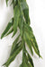 9' UV-Proof Outdoor Artificial Weeping Willow Garland -Green (pack of 2) - A370-G